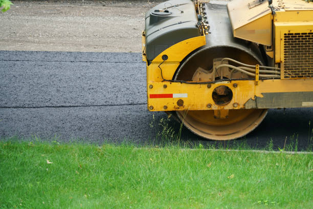 Best Driveway Pavers for Homes  in Doctor Phillips, FL